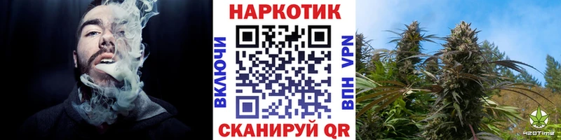 Где купить наркотики Майкоп Alpha PVP  Бошки Шишки  Псилоцибиновые грибы  Cocaine 