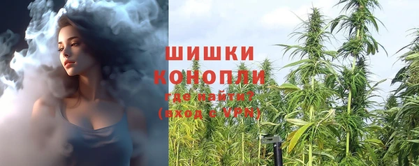 МДПВ Верхний Тагил
